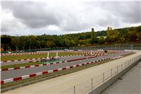 Chrt_dostihy_zavody_Greyhound_Park_Motol_Registrace_CGDF_rovinka.jpg