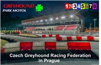 Greyhound_Stadium_Prague_Greyhound_Park_Motol_CGDF_registrace.jpg