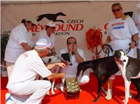 Chrtí_dostihy_Ceska_Greyhound_Dostihova_Federace__Sranda_Tip_Praskacka_2004-07 (26).jpg