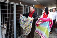 Chrt_dostihy_CGDF_Greyhound_racing_paddock_Praskack_2.jpg Chrt_dostihy_CGDF_Greyhound_racing_paddock_Praskack_2.jpg