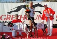 Chrt_dostihy_CGDF_Praskacka_2006_dekorovani_winner.jpg Chrt_dostihy_CGDF_Praskacka_2006_dekorovani_winner.jpg