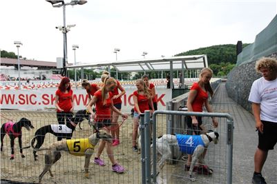 Chrt_dostihy_Greyhound_Racing_Park_Motol_Praha_Steward_IMG_8139.JPG