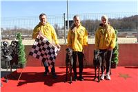 Chrt_dostihy_First_Racing_Greyhound_Park_Motol_CGDF_IMG_2865.JPG