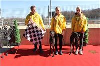 Chrt_dostihy_First_Racing_Greyhound_Park_Motol_CGDF_IMG_2866.JPG