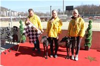 Chrt_dostihy_First_Racing_Greyhound_Park_Motol_CGDF_IMG_2869.JPG