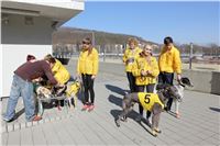 Chrt_dostihy_First_Racing_Greyhound_Park_Motol_CGDF_IMG_2989.JPG