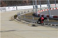 Chrt_dostihy_First_Racing_Greyhound_Park_Motol_CGDF_IMG_3009.JPG
