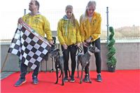 Chrt_dostihy_First_Racing_Greyhound_Park_Motol_CGDF_IMG_3141.JPG