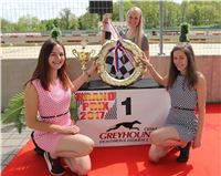 Chrt_dostihy_Greyhound_Racing_Prague_Grand_Prix-1.jpg