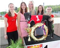 Chrt_dostihy_Greyhound_Racing_Prague_Grand_Prix-2.jpg