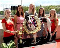 Chrt_dostihy_Greyhound_Racing_Prague_Grand_Prix-6.jpg