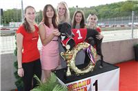 Chrt_dostihy_Greyhound_Racing_Prague_Grand_Prix_5374.JPG