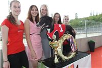 Chrt_dostihy_Greyhound_Racing_Prague_Grand_Prix_5384.JPG