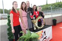 Chrt_dostihy_Greyhound_Racing_Prague_Grand_Prix_5385.JPG