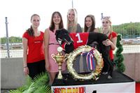 Chrt_dostihy_Greyhound_Racing_Prague_Grand_Prix_5392.JPG