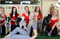 Chrt_dostihy_Greyhound_Racing_Prague_Grand_Prix_5400.JPG