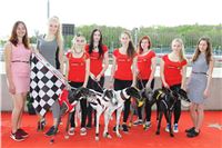 Chrt_dostihy_Greyhound_Racing_Prague_Grand_Prix_5404.JPG