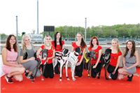 Chrt_dostihy_Greyhound_Racing_Prague_Grand_Prix_5405.JPG