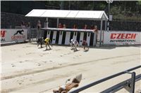 Chrt_dostihy_Greyhound_Racing_Prague_Grand_Prix_5428.JPG