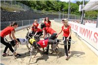 Chrt_dostihy_Greyhound_Racing_Prague_Grand_Prix_5438.JPG