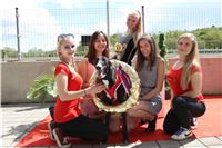 Chrt_dostihy_Greyhound_Racing_Prague_Grand_Prix_5475.JPG