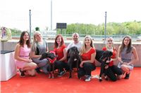 Chrt_dostihy_Greyhound_Racing_Prague_Grand_Prix_5488.JPG