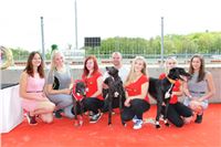 Chrt_dostihy_Greyhound_Racing_Prague_Grand_Prix_5489.JPG