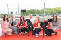 Chrt_dostihy_Greyhound_Racing_Prague_Grand_Prix_5490.JPG