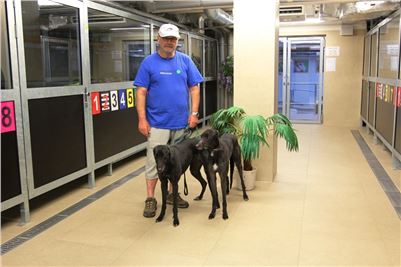 Chrti_trenink_Greyhound_Park_Motol_Praha_CGDF_IMG_5561.JPG