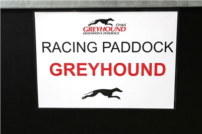 Chrti_trenink_Greyhound_Park_Motol_Praha_CGDF_IMG_5570.JPG