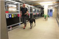 Chrti_trenink_Greyhound_Park_Motol_Praha_CGDF_IMG_5569.JPG