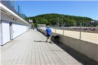 Chrti_trenink_Greyhound_Park_Motol_Praha_CGDF_IMG_5585.JPG