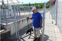 Chrti_trenink_Greyhound_Park_Motol_Praha_CGDF_IMG_5587.JPG