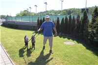 Chrti_trenink_Greyhound_Park_Motol_Praha_CGDF_IMG_5592.JPG