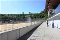 Chrti_trenink_Greyhound_Park_Motol_Praha_CGDF_IMG_5610.JPG