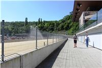 Chrti_trenink_Greyhound_Park_Motol_Praha_CGDF_IMG_5611.JPG