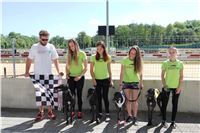 Chrti_trenink_Greyhound_Park_Motol_Praha_CGDF_IMG_5622.JPG