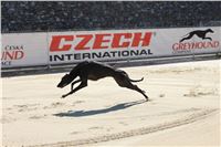 Chrti_trenink_Greyhound_Park_Motol_Praha_CGDF_IMG_5639.JPG