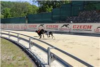 Chrti_trenink_Greyhound_Park_Motol_Praha_CGDF_IMG_5658.JPG