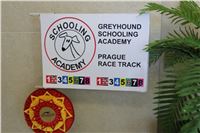 Chrti_trenink_Greyhound_Park_Motol_Praha_CGDF_IMG_5679.JPG