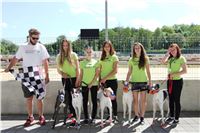 Chrti_trenink_Greyhound_Park_Motol_Praha_CGDF_IMG_5688.JPG