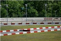 Chrti_trenink_Greyhound_Park_Motol_Praha_CGDF_NQ1M0031.JPG