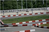 Chrti_trenink_Greyhound_Park_Motol_Praha_CGDF_NQ1M0051.JPG