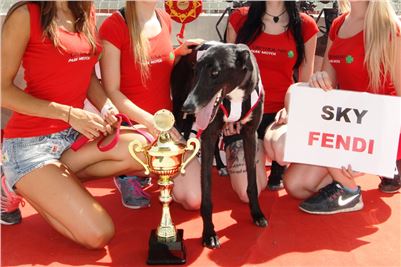 Chrt_dostihy_Race_3_CGDF_Greyhound_Racing_Praha.JPG