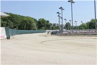 Chrt_dostihy_CGDF_Greyhound_Racing_Praha_Bookmakers_IMG_5732.JPG