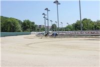 Chrt_dostihy_CGDF_Greyhound_Racing_Praha_Bookmakers_IMG_5733.JPG