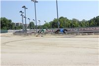 Chrt_dostihy_CGDF_Greyhound_Racing_Praha_Bookmakers_IMG_5734.JPG