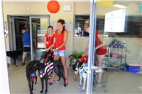 Chrt_dostihy_CGDF_Greyhound_Racing_Praha_Bookmakers_IMG_5738.JPG