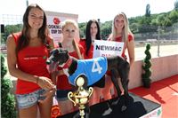 Chrt_dostihy_CGDF_Greyhound_Racing_Praha_Bookmakers_IMG_5744.JPG