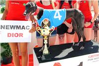 Chrt_dostihy_CGDF_Greyhound_Racing_Praha_Bookmakers_IMG_5748_ v.JPG